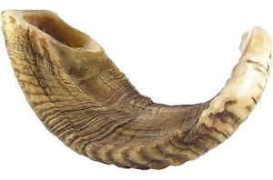 Shophar (ayal-ram)